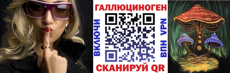 цена   Заволжье  Псилоцибиновые грибы Magic Shrooms 